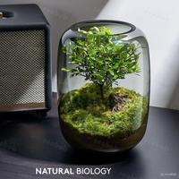Gambar Seabob Aquarium Mini Kecil A19 / Akuarium Ikan Cupang Hias / Kura-Kura - abu (1) dari Toko-Elmo undefined 2 Tokopedia