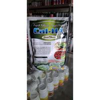 Gambar PUPUK KALSIUM ASAM HUMAT CAL-HA 1KG dari TANI JAYA TUBAN undefined 4 Tokopedia