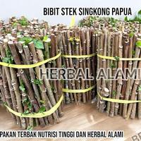 Gambar Bibit Tanaman Singkong Papua Ramban Telo Papua Pakan Ternak dari April come undefined 3 Tokopedia