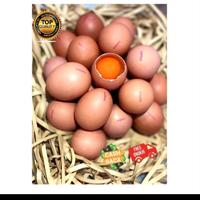 Gambar TELUR OMEGA 3 1 TRAY (30 BUTIR UKURAN BESAR ) dari Lavida Eggmeatshop undefined 1 Tokopedia
