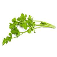 Gambar SELEDRI / DAUN SOP SEGAR HARIAN IKAT KECIL 25 GR dari budifrozenid undefined 1 Tokopedia