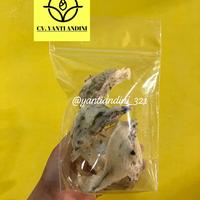 Gambar Sarang Burung Walet Original Kalimantan Barat Kapuas Hulu dari Yanti Andini undefined 1 Tokopedia