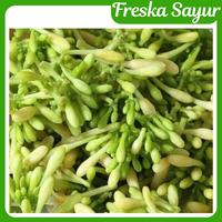 Gambar Bunga Pepaya I Kembang Pepaya 1 Pack dari Freska Sayur Shop undefined 1 Tokopedia