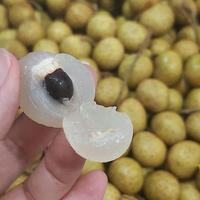 Gambar Kelengkeng Tebal Manis 1 Keranjang ( 10-11Kg ) dari Variety Shop_1 undefined 2 Tokopedia