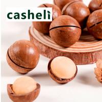 Gambar Macadamia Nuts in Shell Besar Panggang 1KG Kacang Macadamia Kulit - 250g Jumbo dari MadamProsperity undefined 4 Tokopedia