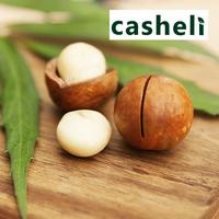 Gambar Macadamia Nuts in Shell Besar Panggang 1KG Kacang Macadamia Kulit - 250g Jumbo dari MadamProsperity undefined 5 Tokopedia