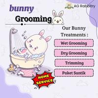 Gambar Rabbit grooming HOme service dari AG rabbitry undefined 1 Tokopedia