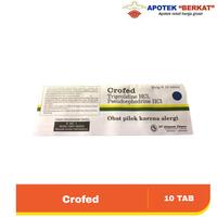 Gambar Crofed 10 tablet 0bat pilek dari APOTEK BERKAT CITRA RAYA undefined 3 Tokopedia