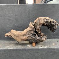 Gambar Kayu Santigi Aquascape 60 cman dari Eris Pet Shop dan Aquascape undefined 1 Tokopedia