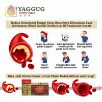 Gambar Red Pine Oil Korea Kumgangsong Premium 30 Kapsul - Paket Promo dari Emran Clean ID undefined 2 Tokopedia