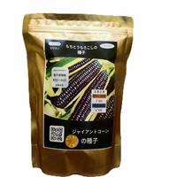 Gambar top Benih Jagung hokaido Jepang F1 Ketan Pulut Hitam - 500gram dari denseoff undefined 2 Tokopedia