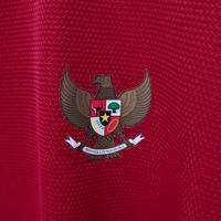 Gambar Jersey Timnas Indonesia original nike PI size XXL dari 1905 undefined 4 Tokopedia