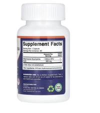 Gambar Vitamatic, Akkermansia, 60 DRCaps dari PrimaHerba undefined 2 Tokopedia