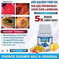 Gambar Obat Pembersih Usus Lambung Paling Ampuh Detox Usus Kotor Parasit Dalam Usus Gangguan Pencernaan Kram Perut Radang Usus Sindrom Iritasi Luka Usus Melancarkan Bab Sembelit Pencuci Perut Dengan Salmon Fish Oil Herbal Naturafit Indonesia SPORTO dari Gadget Zone ID 2 undefined 1 Tokopedia