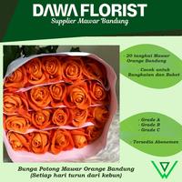 Gambar Bunga Potong Mawar Orange Bandung semi Import (20 pcs) - GRADE A dari Dawa Florist undefined 1 Tokopedia
