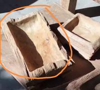 Gambar 3 Pcs Pot Bonsai Kayu Jati Natural Erosi Custom Bp. Djon di Tangerang dari Aza Furniture Akar Jati undefined 1 Tokopedia