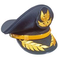 Gambar TOPI PET PILOT - wing pilot, 57/7 dari Toko viola shop undefined 1 Tokopedia