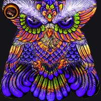 Gambar Baru#layangan burung hantu mini print pinky dari UmahTiing undefined 5 Tokopedia
