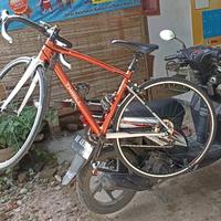 Gambar loading motor sepeda (termasuk tali/pelindung) dari Denis bikerack undefined 2 Tokopedia