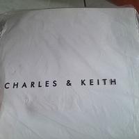 Gambar Tas Sling Bag Charles n Keith Original Authentic dari Nostalgia Limun undefined 1 Tokopedia