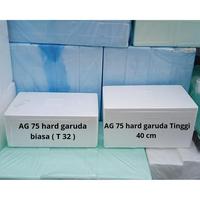 Gambar Styrofoam Box Ag 75 T 40 Hard Garuda P 75 X L 42 X T 40 Cm Pasti Diskon dari kurogane mma undefined 3 Tokopedia