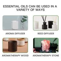 Gambar 100ml Hilton Fragrance Oil Essential Oil for Home Perfumes Hotel Aromatherapy Diffuser Aroma Oil Ritz-Carlton Air Purifier Oils dari ramdanishoppe undefined 5 Tokopedia