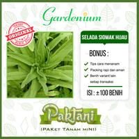 Gambar 100 Benih Selada Siomak Hijau Wangi Unggul Paktani dari Gardenium undefined 1 Tokopedia