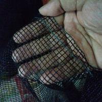 Gambar Keramba ikan ukuran 4,80 x 2,50 x 2,40 meter siap pakai - TL Standar dari pasarlima.id undefined 3 Tokopedia