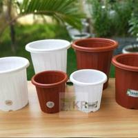 Gambar pot yogap merah 12 cm isi 12 pcs dari ashila nursery undefined 1 Tokopedia