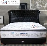 Gambar BIGLAND KASUR SPRING BED EMPUK PLATINUM SERIES / BIGLAND TIPE ATAS PLATINUM PLUSHTOP dari Sinar Garuda Bersama undefined 1 Tokopedia