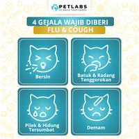 Gambar Petlabs Flu & Cough Obat Flu Berat Batuk Bersin Susah Sembuh Ampuh Kucing Dan Anjing 20ml dari CV YULI POULTRY SHOP undefined 5 Tokopedia