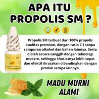 Gambar Atasi Infeksi Jamur Di Kulit, Scabies, Ruam Merah Bintik Bintik, Kurap Dan Kudis Dengan Propolis Sm Alami Ekstrak Madu Murni Multikhasiat dari Sayakin Herbal store undefined 2 Tokopedia