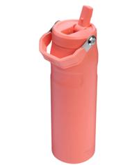 Gambar The IceFlow Aerolight Fast Flow Water Bottle 24 OZ S T A N L E Y - POPSICLE PINK dari omarderakata outdoor shop undefined 2 Tokopedia