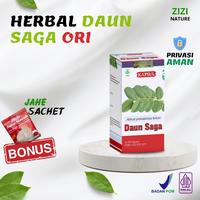Gambar Obat Herbal Fitofarmaka Daun Saga - Suplemen Kesehatan untuk Sariawan, Batuk, dan Asma dari Zizi Nature undefined 1 Tokopedia