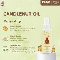 Gambar Tropee Bebe Paket Minyak & Shampoo Kemiri & Lotion Rambut Winter Sky Cool 100ml | Menutrisi Rambut | Penumbuh Rambut Alami | Perawatan Rambut Bayi dan Anak - hair growth  dari Tropee Bebe Shop undefined 2 Tokopedia
