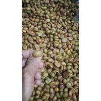 Gambar Bibit Kopi Robusta Klon Bagio (250 Grm Isi -+ 450 Butir) dari keyraaa122 undefined 3 Tokopedia