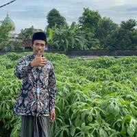 Gambar ISI 30-100 Batang Bibit Singkong Telo Papua Tinggi Nutrisi Panjang 20 cm Mudahtumbuh Cepat Berkembang Aman Tidak Beracun untuk Sayur dan Pakan Ternak - PAKET HEMAT, ISI 30 BATANG dari BBStore57 undefined 3 Tokopedia