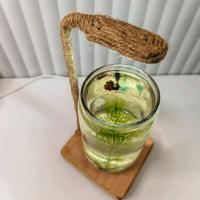Gambar AKUARIUM MINI BULAT ‎ ‎AESTHETIC / TANK CUPANG / AQUARIUM GUPPY/AQUASCAPE UNIK FULlSET PLUS LAMPU dari Hafiaquatik undefined 4 Tokopedia