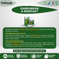 Gambar Keloreena Suplemen Herbal Penyubur Pria Original Kesuburan Pria Pengental Sperma dan Promil Pria - BPOM & Halal MUI - 50 Kapsul dari Nakama Herbal undefined 4 Tokopedia