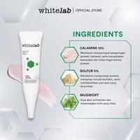 Gambar Whitelab Acne Cream spot krim totol atasi jerawat WHITELAB ACNE dari starryshop12 undefined 3 Tokopedia