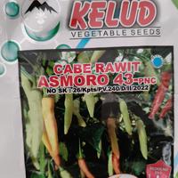 Gambar Benih Cabe Asmoro 43 Pnc Bibit Tahan Virus Kemasan 10gr Original Cap Kelud Merah - 10 dari Luxssmile undefined 4 Tokopedia