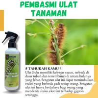 Gambar Obat Pembasmi Ulat Daun Pada Tanaman Ramah Lingkungan dari PESTKILLER undefined 4 Tokopedia