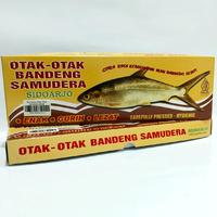 Gambar DUA PUTRA TANJUNG | OTAK - OTAK BADENG | SAMUDERA dari Toko Dua Putra Tanjung undefined 1 Tokopedia