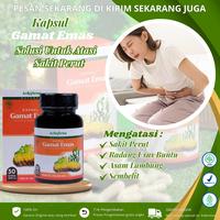 Gambar Obat Sakit Perut Anak dan Dewasa Herbal Kapsul Gamat Emas Solusi Untuk Radang Usus Buntu Kotor BAB Berdarah Sembelit Mual Maag Lambung Kembung Begah dari madayastore undefined 1 Tokopedia