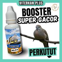 Gambar Vitamin Burung Perkutut Biar Cepet Gacor Rajin Manggung Bantu Atasi Suara Macet 30 Ml Viterkan Plus dari Viterkan Plus undefined 1 Tokopedia