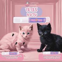 Gambar obat kutu kucing ampuh dan aman dari FURYOUOFFICIAL STORE undefined 1 Tokopedia