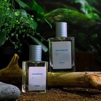 Gambar DELONGAN PERFUME UNTUK PRIA DAN Perempuan COCOK UNTUK OUTODOOR DAN INDOOR BY AZZWARS wangi dari AzzwarS Perfume Pondok undefined 5 Tokopedia