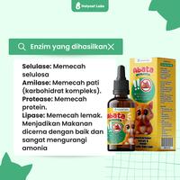 Gambar Holycatlabs ABATA Vitamin Probiotik Pencernaan Kucing Sehat & Poop Tidak Bau 20ml dari Holycatlabs Official Shop undefined 4 Tokopedia