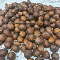 Gambar salak Gula Pasir Asli Bali gula pasir - 1kg dari salak bali asli undefined 1 Tokopedia