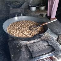 Gambar Sale Pisang Mecca Rasa - Sale Pisang Khas Banyuwangi (500 gram) dari Mecca Rasa_NEW undefined 5 Tokopedia